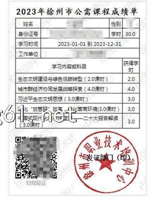 徐州市專業(yè)技術(shù)人員繼續(xù)教育公需課專業(yè)課學(xué)習(xí)聯(lián)系在線客服