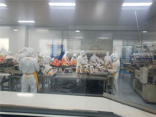 鎮平縣農業局局長深入南陽標點食品公司開展市場調研服務