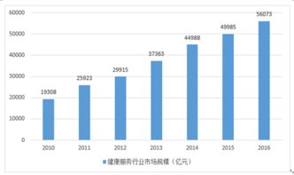 2017-2023年中國健康服務行業(yè)深度調研與投資戰(zhàn)略研究報告